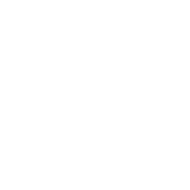 Bitcoin Icon